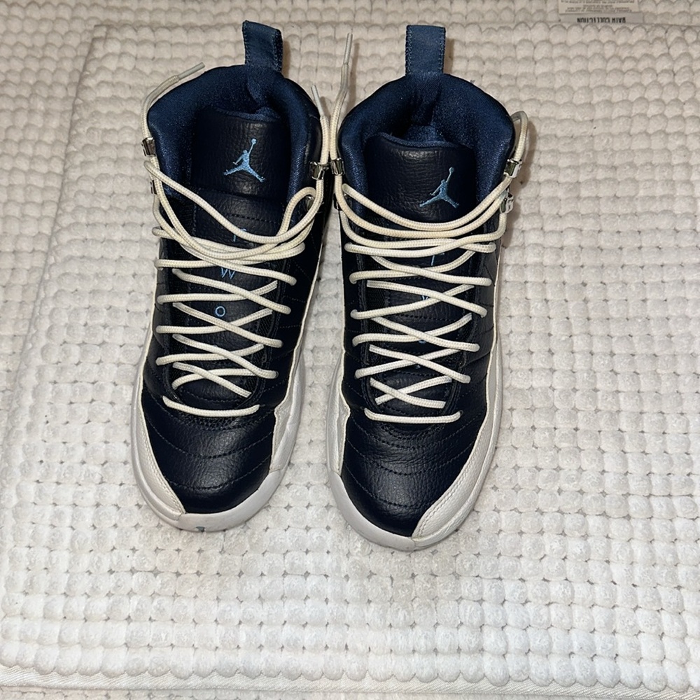Air Jordan 12 retro